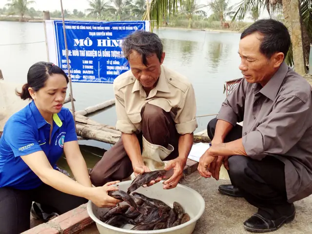 Mô Hình Nuôi Cá Bống Tượng