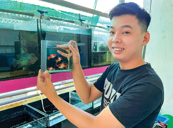 Mô Hình Nuôi Cá Kiểng
