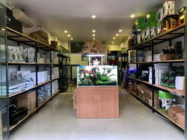 Mở Tiệm Cá Cảnh