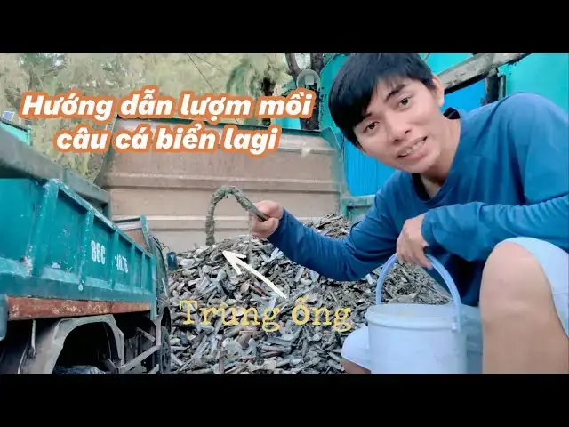 Mồi Câu Cá Bống Cát