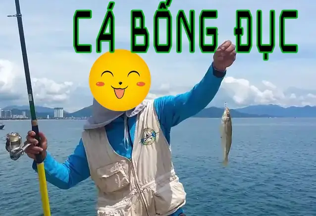 Mồi Câu Cá Bống Đục