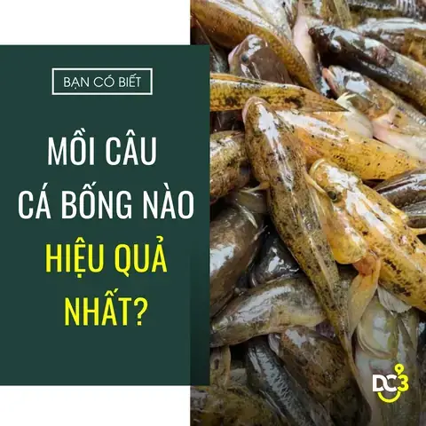 Mồi Câu Cá Bống Sông