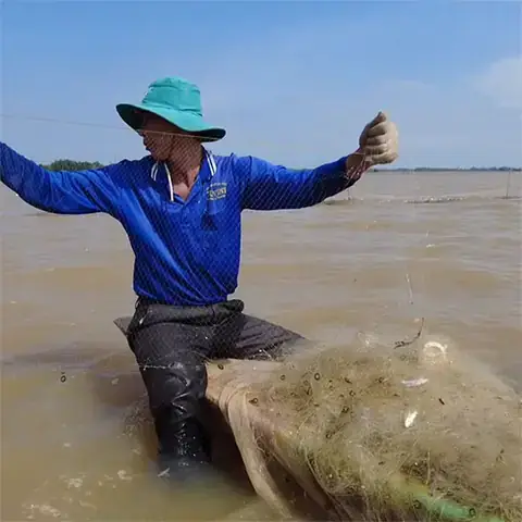 Mồi Câu Cá Chạch Lấu