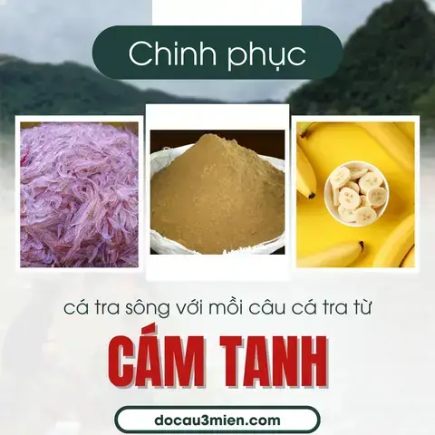 Mồi Câu Cá Dọn Bể