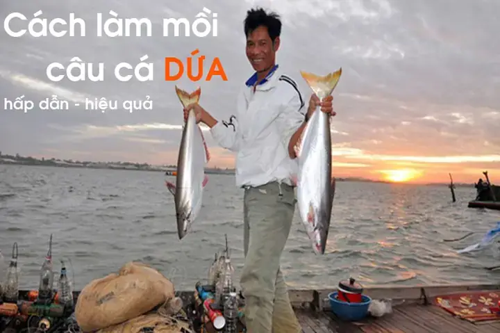 Mồi Câu Cá Dứa