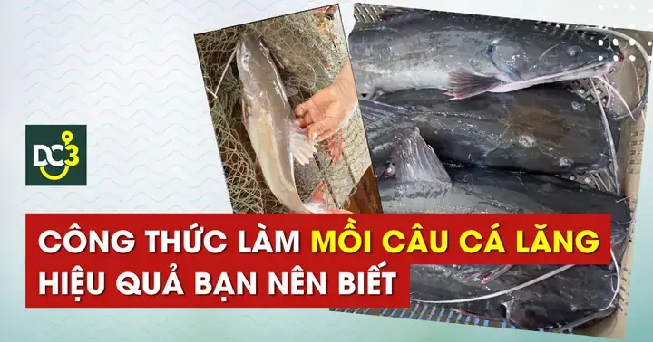 Mồi Câu Cá Lăng Hồ Dịch Vụ