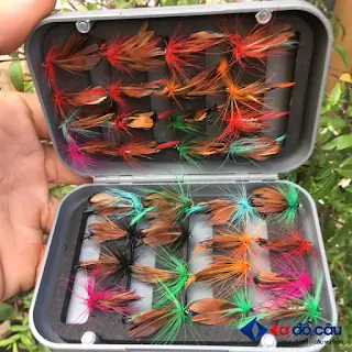 Mồi Câu Cá Nục