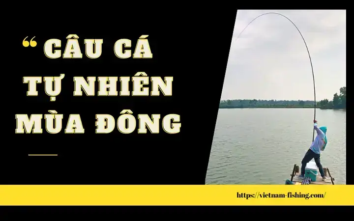 Mồi Câu Cá Tra Mùa Lạnh