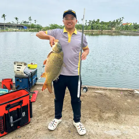 Mồi Câu Cá Trắm Đen Hồ Dịch Vụ