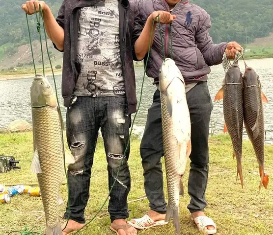 Mồi Câu Cá Trắng Suối