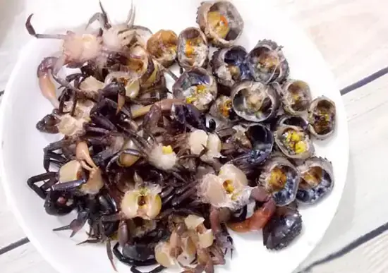 Mồi Câu Cá Trê Trắng