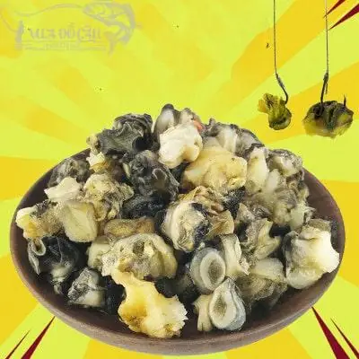 Mồi Câu Cá Trê Vàng
