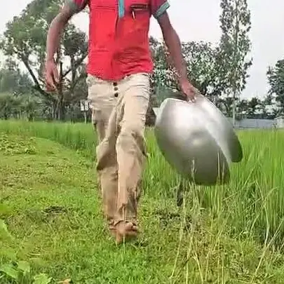 Mồi Ốc Sên Câu Cá Gì