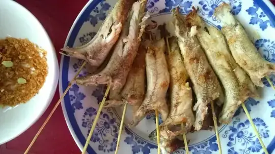 Mồi Thuốc Đặt Cá Bóng Dừa