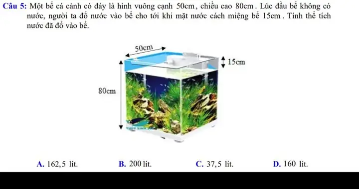 Một Bể Cá Cảnh