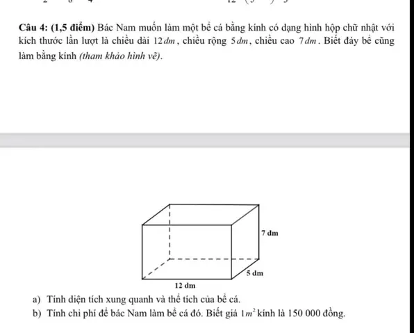 Một Bể Cá Hình Hộp Chữ Nhật Làm Bằng Kính