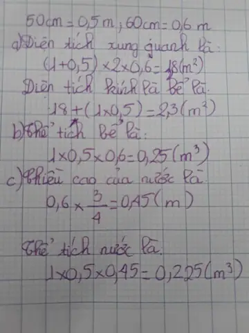 Một Bể Kính Nuôi Cá