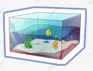 Một Bể Nuôi Cá Cảnh Dạng Hình Hộp Chữ Nhật