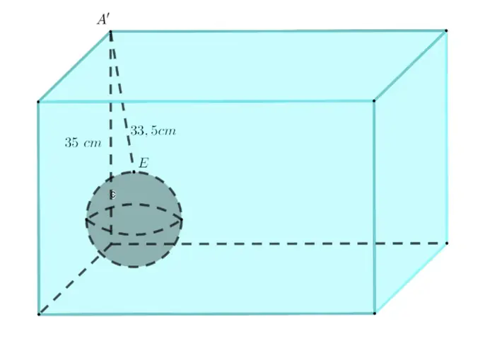 Một Bể Nuôi Cá Dạng Hình Hộp Chữ Nhật