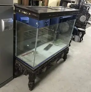 Mua Bán Bể Cá Cảnh