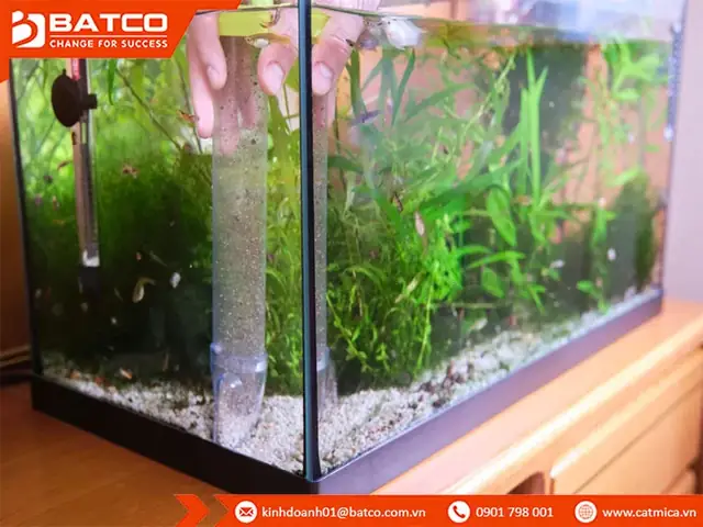 Mua Bể Cá Bằng Nhựa Mica