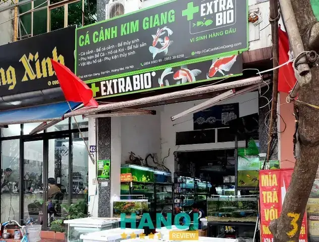 Mua Bể Cá Cũ Tại Hà Nội