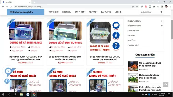 Mua Bể Cá Mini Ở Đâu