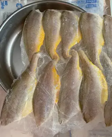 Mua Cá Bống Mú Giống Ở Đâu