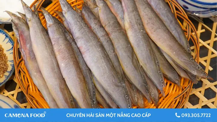 Mua Cá Chạch Ở Đâu