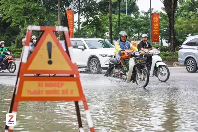 Mua Cá Hải Hồ Ở Hà Nội