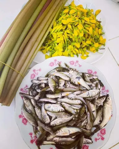Mùa Cá Linh An Giang