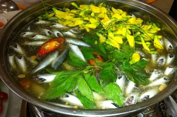 Mùa Cá Linh Đồng Tháp