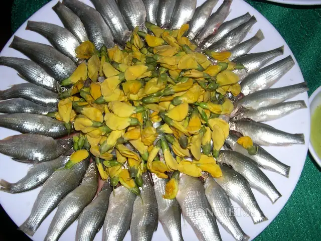 Mùa Cá Miền Tây