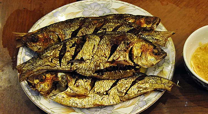 Mùa Cá Mòi Sông Hồng