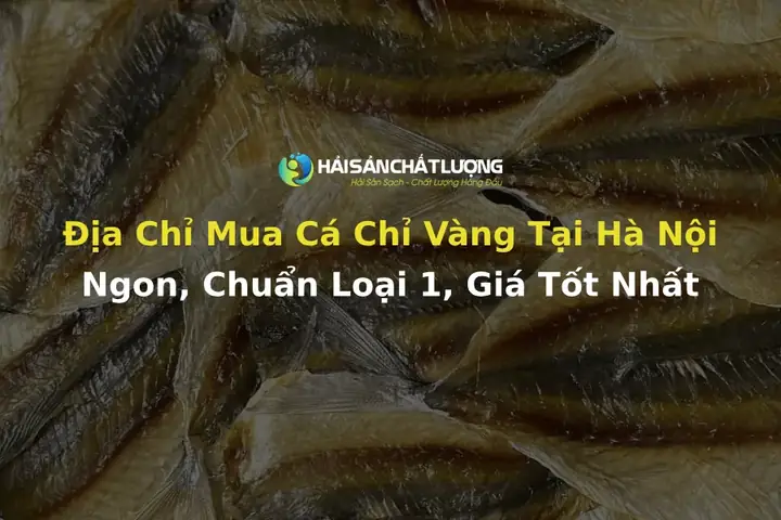Mua Cá Vàng Ở Hà Nội