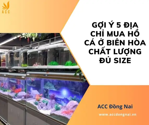 Mua Hồ Cá Ở Biên Hòa