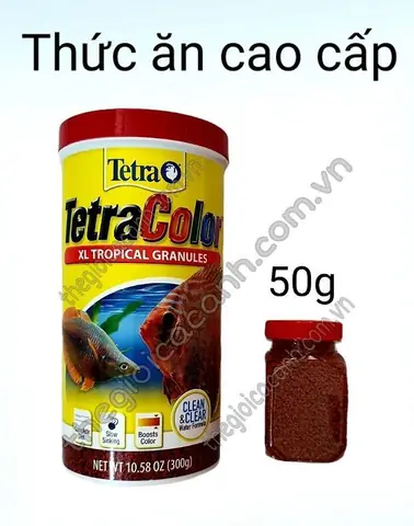 Mua Thức Ăn Cho Cá Ở Đâu