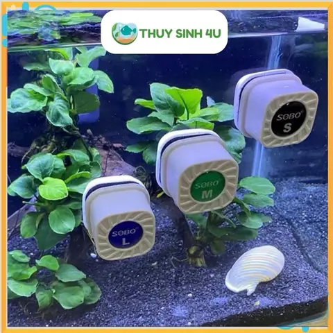Nam Châm Cọ Bể Cá