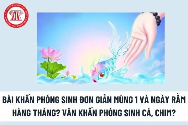 Nên Phóng Sinh Cá Gì