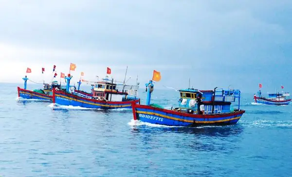 Nghề Đánh Bắt Cá Biển
