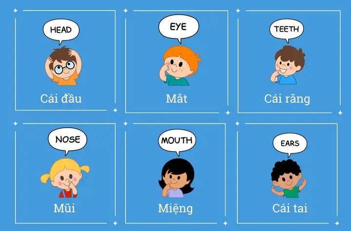 Nghề Đánh Cá Tiếng Anh Là Gì