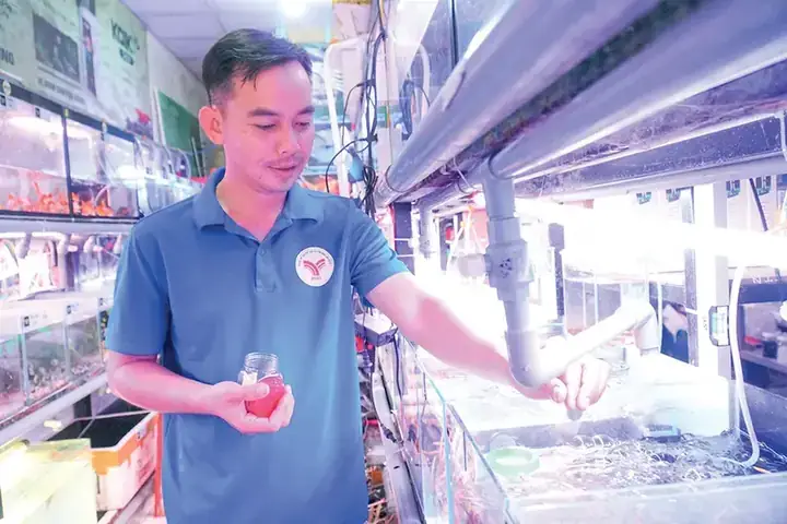 Nghề Kinh Doanh Cá Kiểng Nghề Kinh Doanh Cá Kiểng