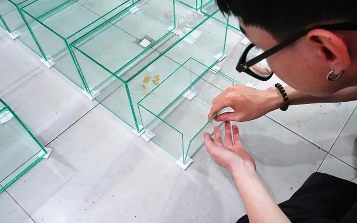 Nhận Làm Hồ Cá Tphcm Nhận Làm Hồ Cá Tphcm