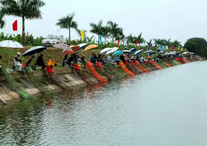 Những Địa Điểm Câu Cá Ở Tphcm