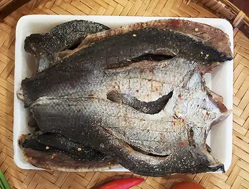 Nơi Bán Cá Lia Thia Tphcm