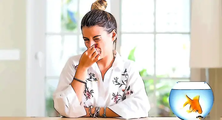 Nước Bể Cá Có Mùi Tanh