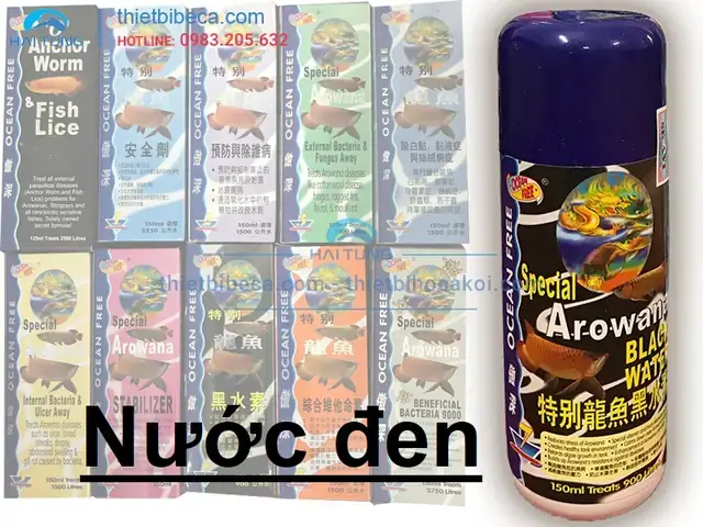 Nước Đen Cho Cá Rồng