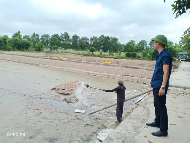 Nuôi Cá Koi Trong Ao Đất