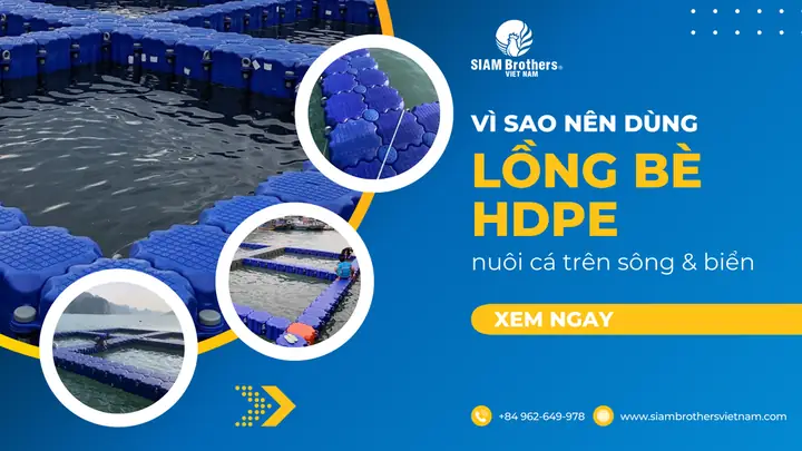 Nuôi Cá Nên Dùng Nước Gì