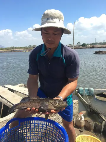 Nuôi Cá Nước Mặn